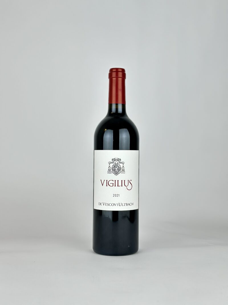 TEROLDEGO ROTALIANO “VIGILIUS” 2021