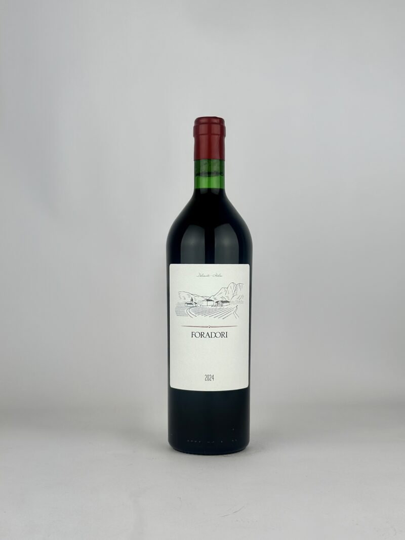 TEROLDEGO 2024