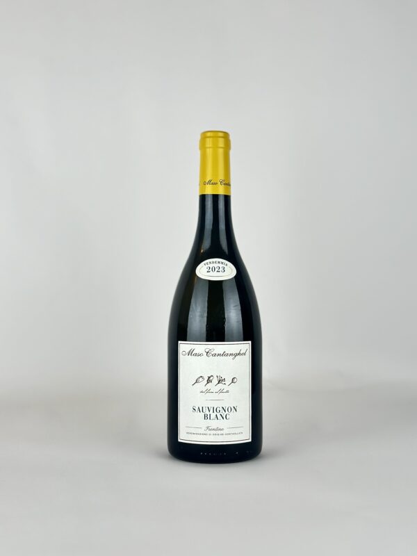 SAUVIGNON BLANC "VIGNA CANTANGHEL" 2023