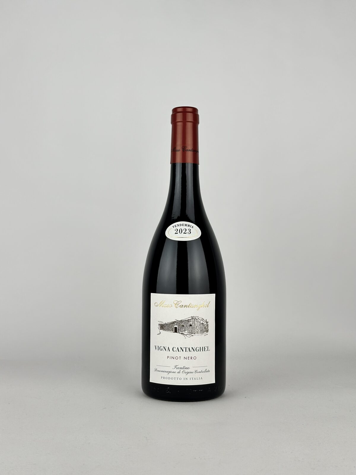 PINOT NERO “VIGNA CANTANGHEL” 2023