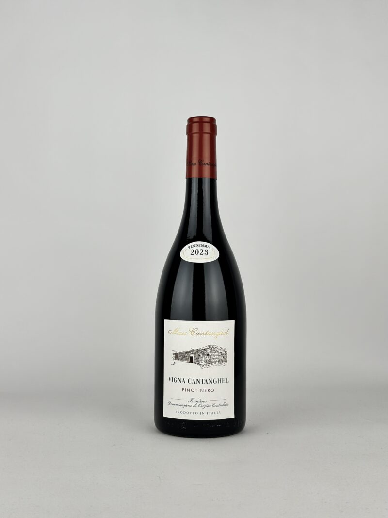 PINOT NERO “VIGNA CANTANGHEL” 2023