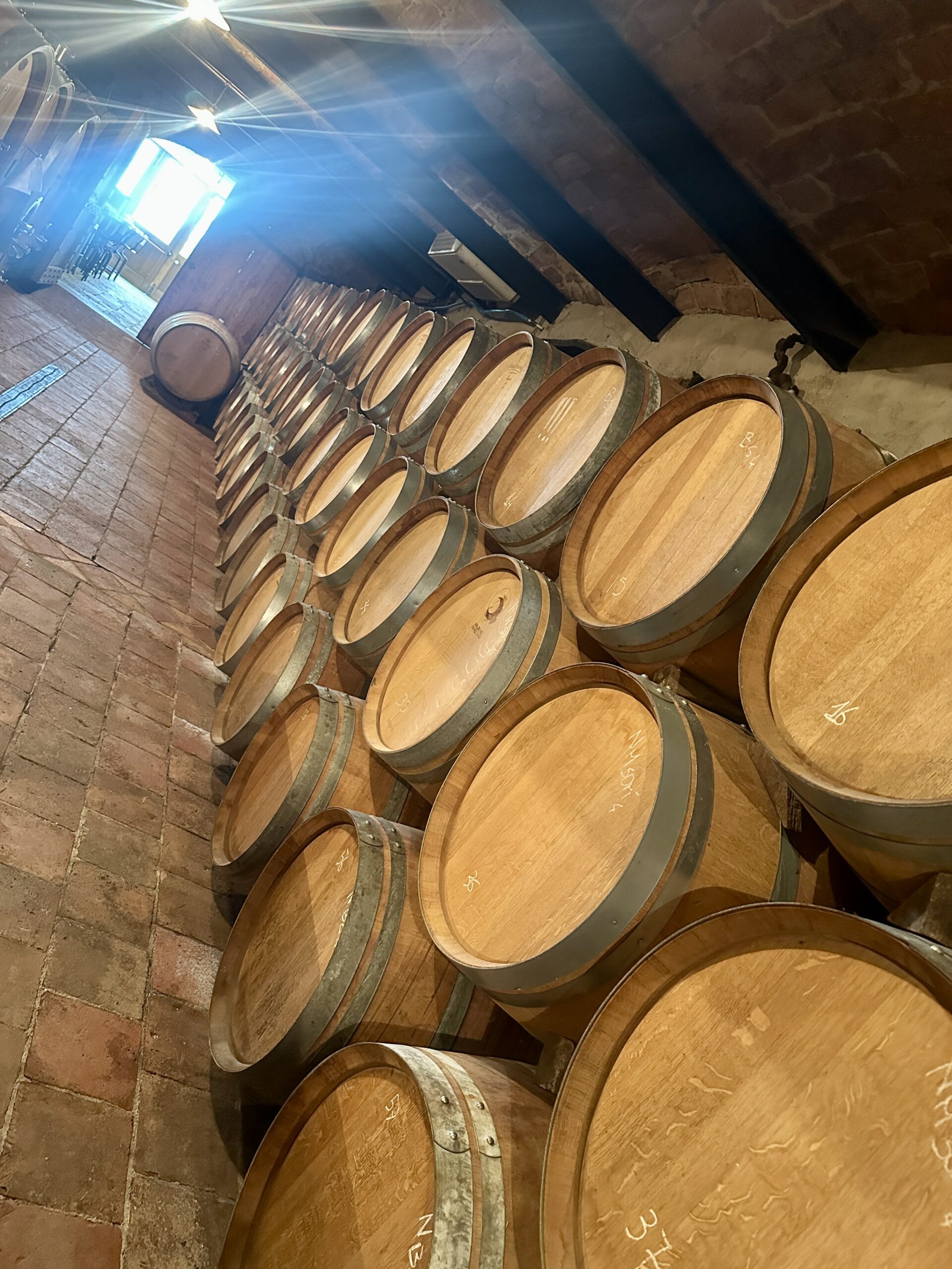 HILBERG PASQUERO – oltre la biodinamica