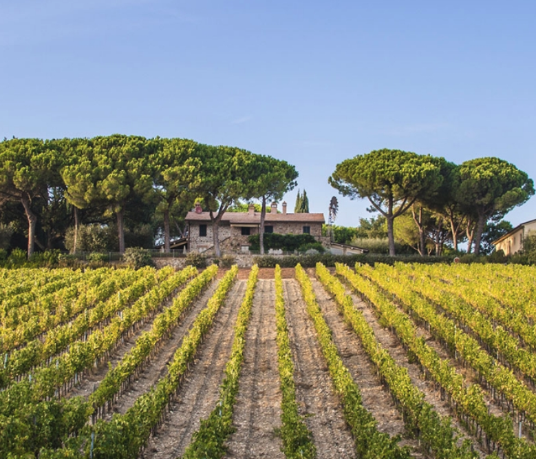 Fattoria Di Magliano