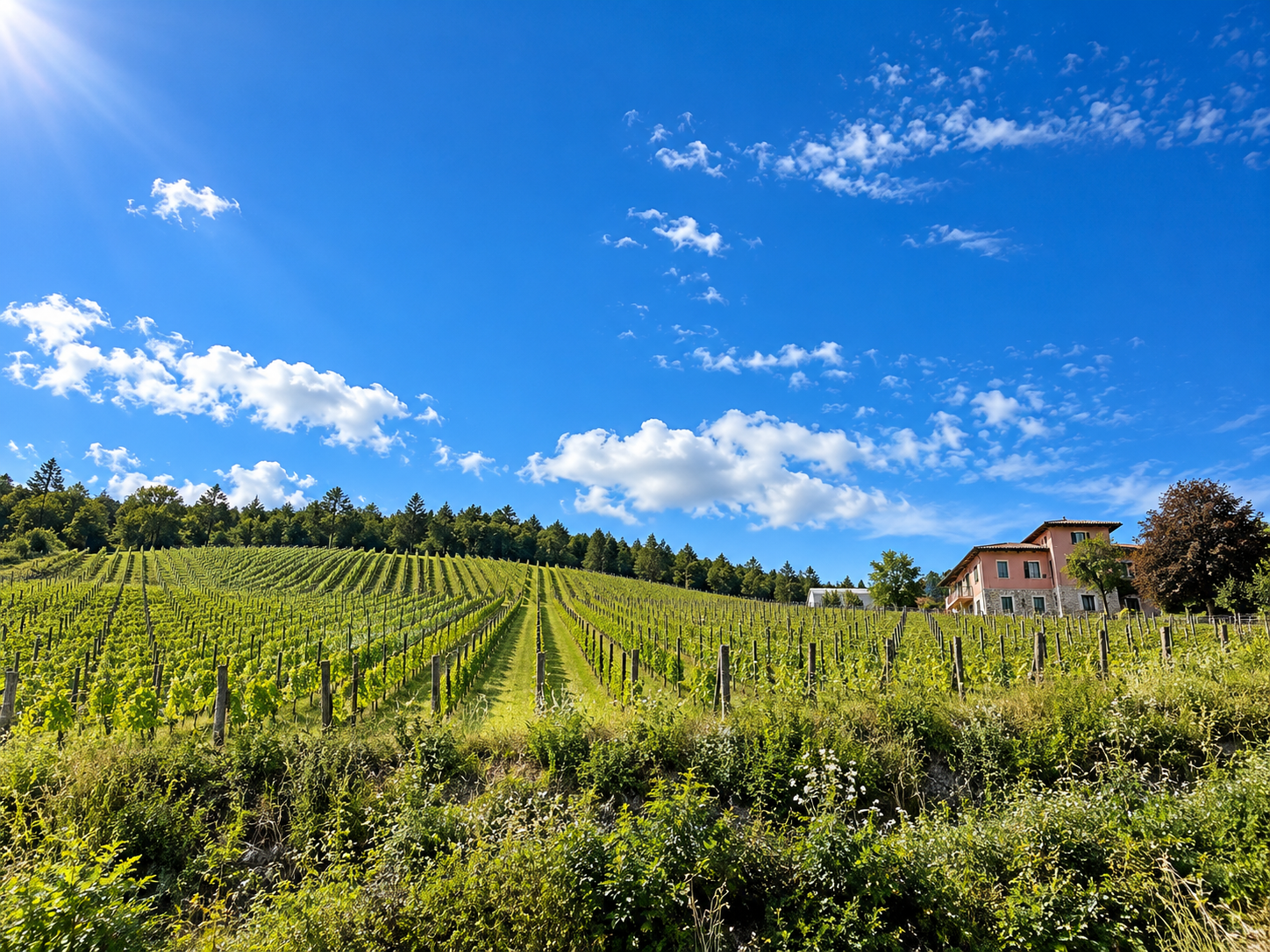 ERT1015, un Trentodoc di montagna, ad un passo dal cielo.